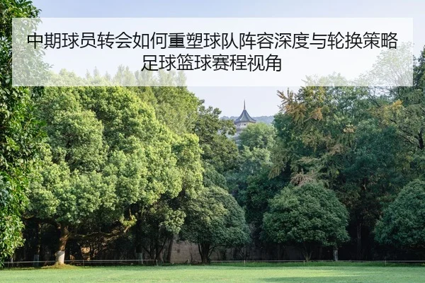 中期球员转会如何重塑球队阵容深度与轮换策略足球篮球赛程视角